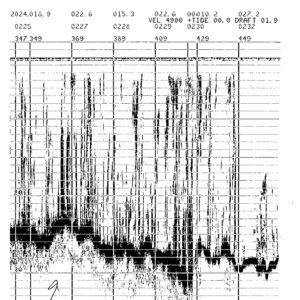 Fathometer Record showing Seafloor with Kelp in Water
